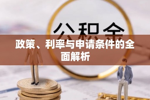 谢岗政策、利率与申请条件的全面解析