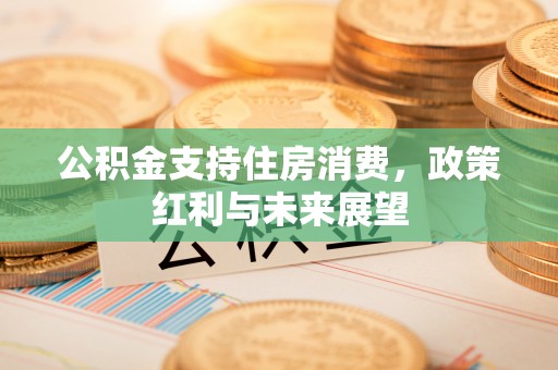 谢岗公积金支持住房消费，政策红利与未来展望